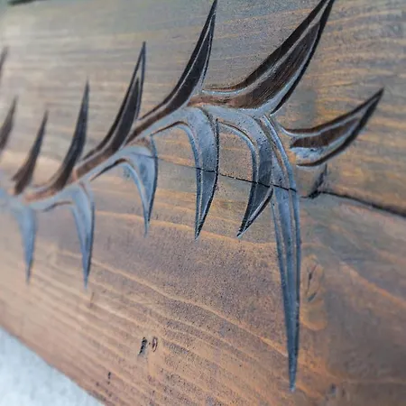 ゲストハウス Willa Za Strugiem *